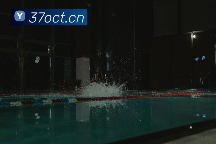 ayx官方登录平台平台生态图